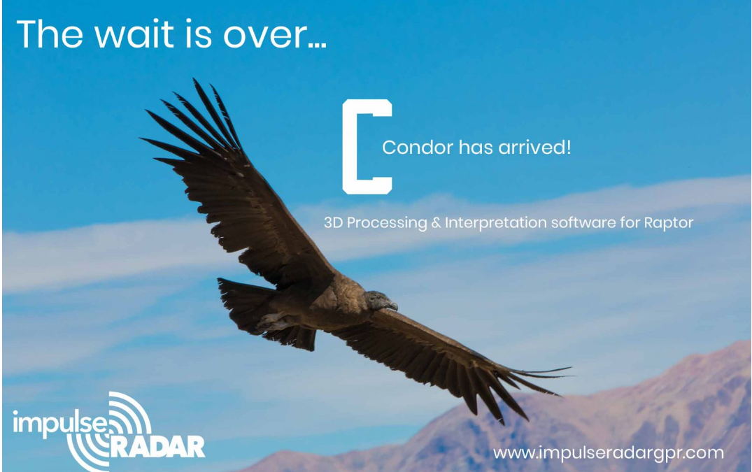 Condor on saabunud
